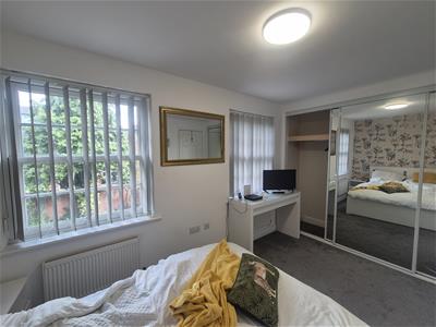 Picture 15
